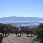 Accogliente Con Parcheggio Gratuito Casa vacanze Orbetello